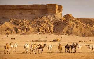 Grand Tour da Arábia Saudita (10 dias / 9 noites)